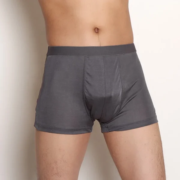 Birdtree Silk Men's Panties – Ultimate Comfort - Image 5