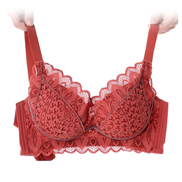 High Quality Plus Size Cotton Lace Bra - Image 6