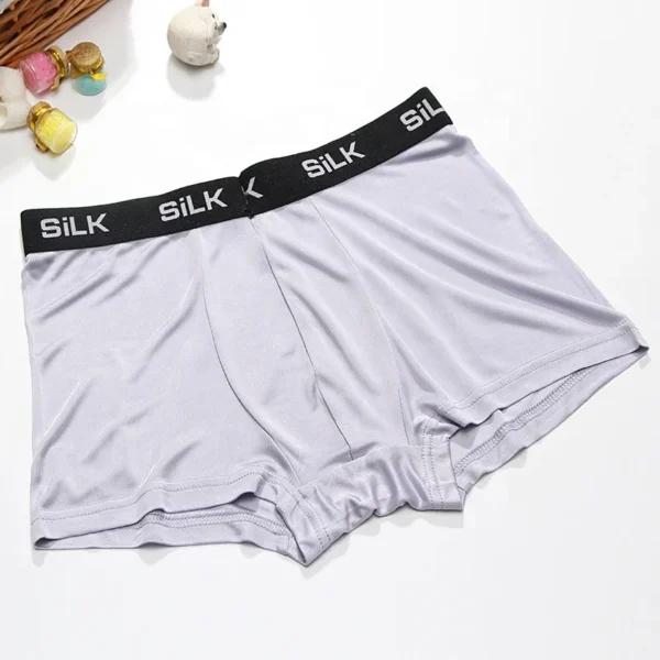 Birdtree 100% Natural Silk Men's Panties – Premium Comfort - Image 2