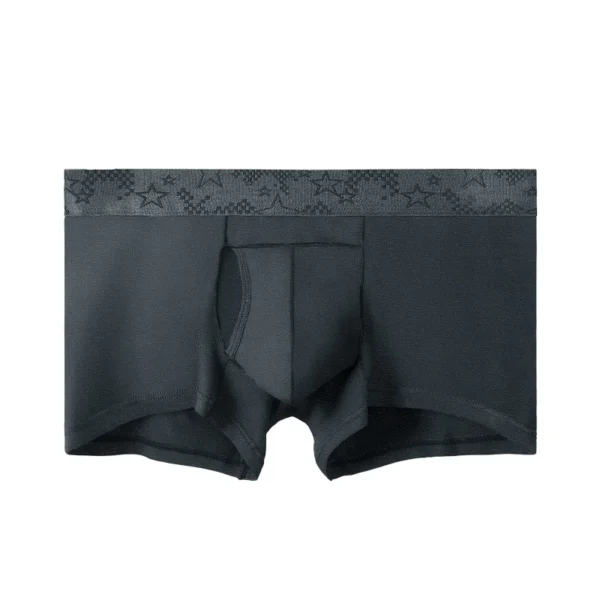 Premium Modal Summer Underwear - Image 4