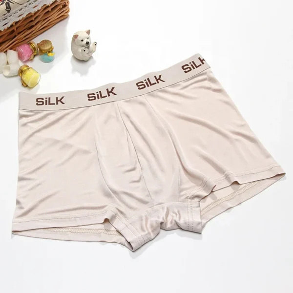 Birdtree 100% Natural Silk Men's Panties – Premium Comfort - Image 3