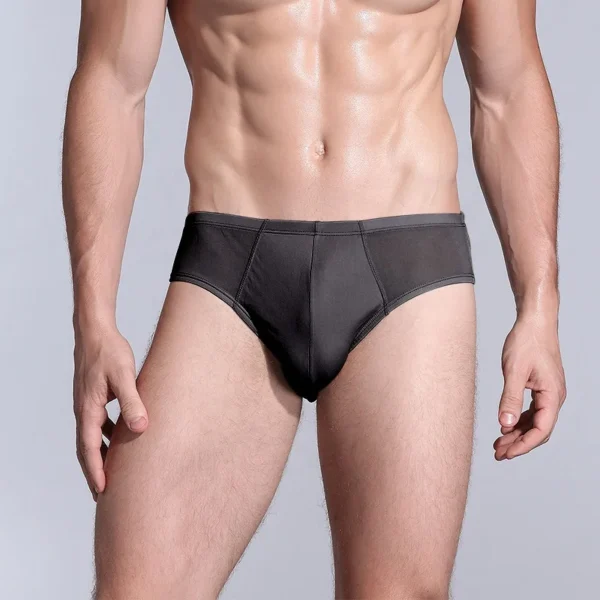 luxury silk men underwear