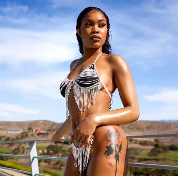 Transparent Sexy Lingerie Shiny Tassel Lady Underwear - Image 3