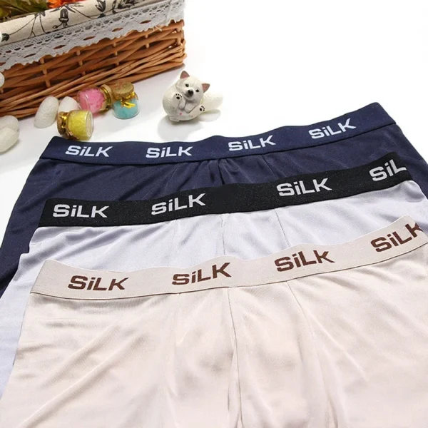 Birdtree 100% Natural Silk Men's Panties – Premium Comfort - Image 5