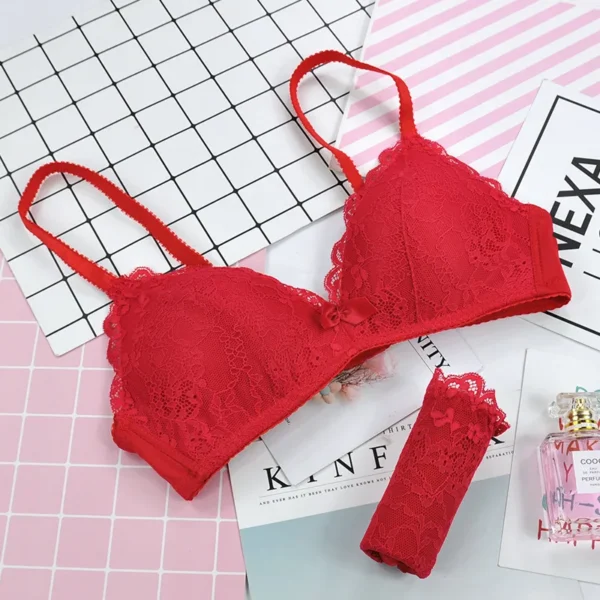 Wholesale Women Underwear Bra and Panty Set - Image 5