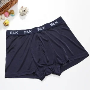 Natural Silk Men's Panties