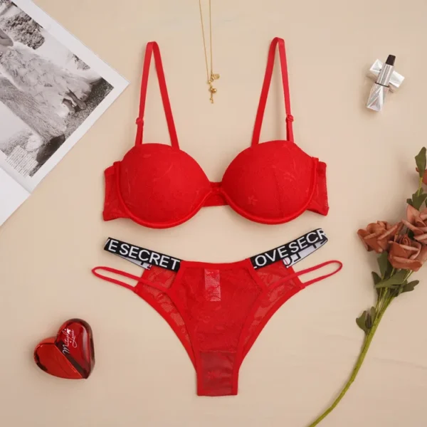 Bra Panties Wholesale Logo Label Custom - Image 3